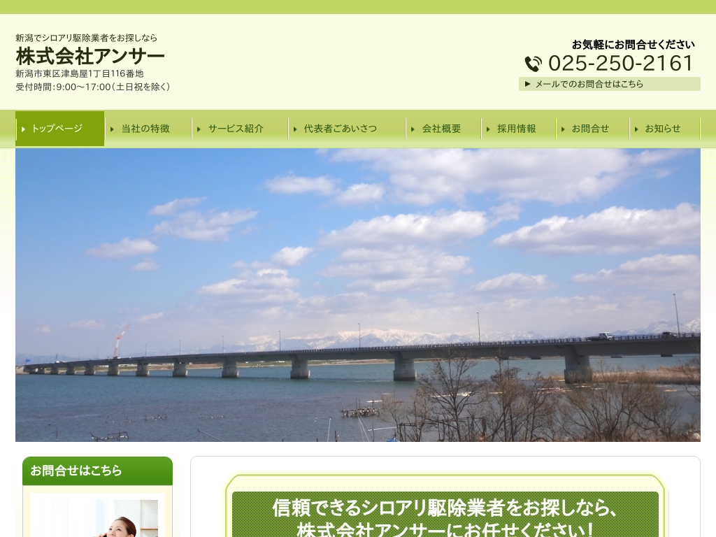 �V�����V���s�̃V���A���쏜�Ȃ犔����ЃA���T�[�i�V�����V���s�j