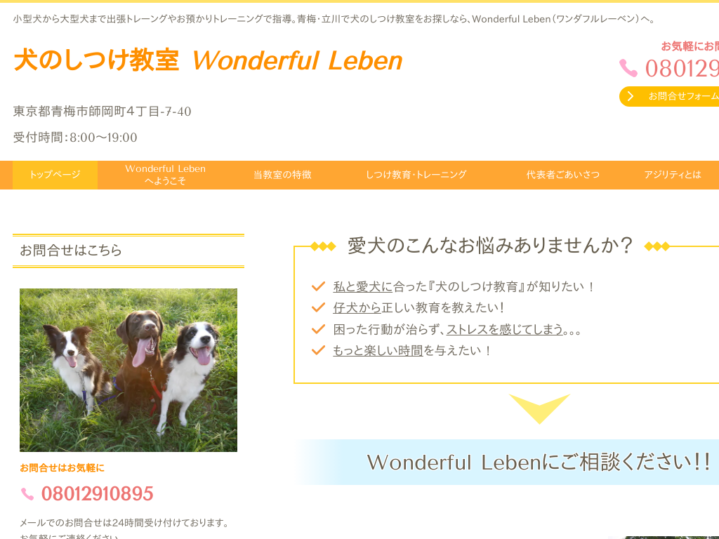 �����s�~�A����̌��̂������� Wonderful�@Leben