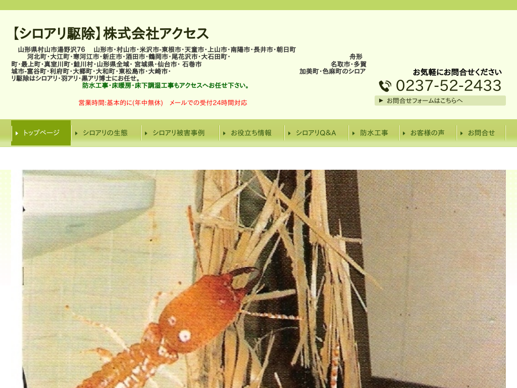 �R�`���R�`�A�R�`�s�̃V���A���쏜�Ȃ�u������ЃA�N�Z�X�v��