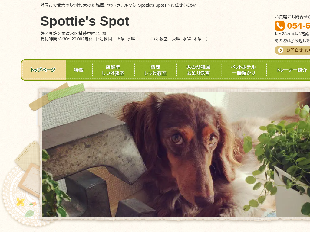 �É����É��s�̌��̂��������Ȃ�uSpottie's Spot�v��