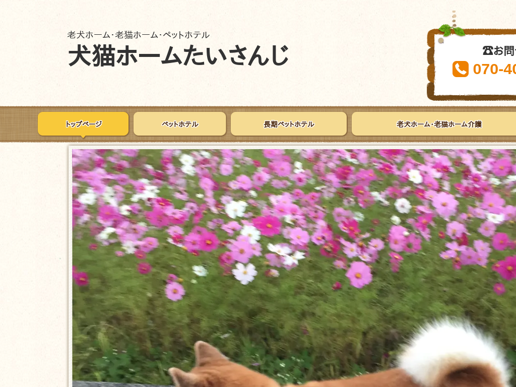 ���Q�����R�s�A�����s�̘V���z�[���^���̂����E���̃y�b�g�z�e�� �����w�Z �v�Č���