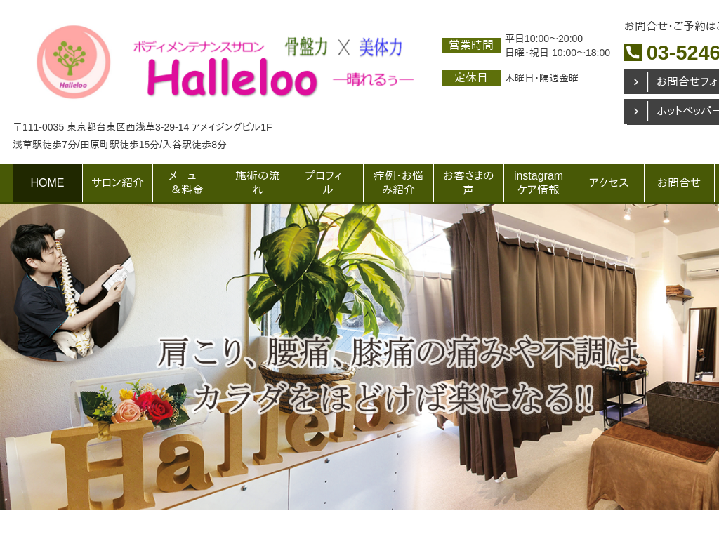 �����s�䓌��󑐂̐󑐂̍��Ւ����{�f�B�����e�i���X�T���� Halleloo