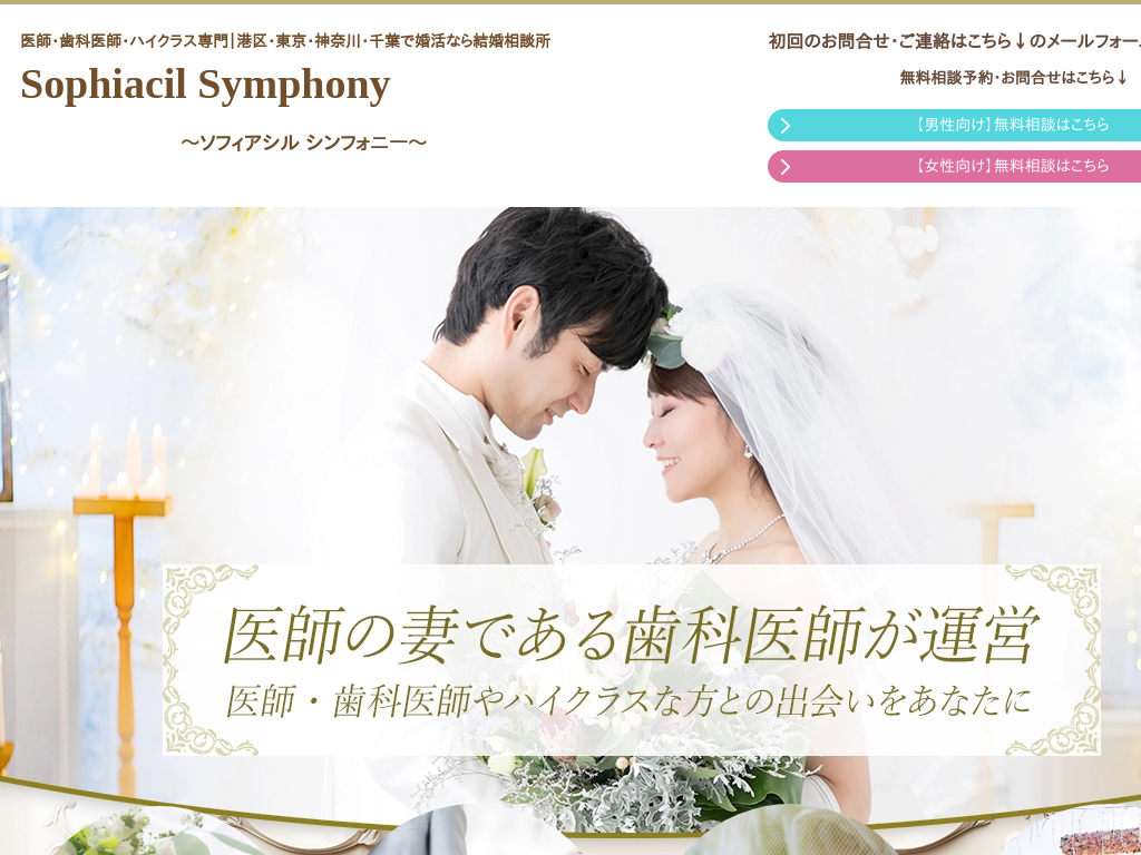 �����s�`��̍����Ȃ猋�����k���\�t�B�A�V�� �V���t�H�j�[