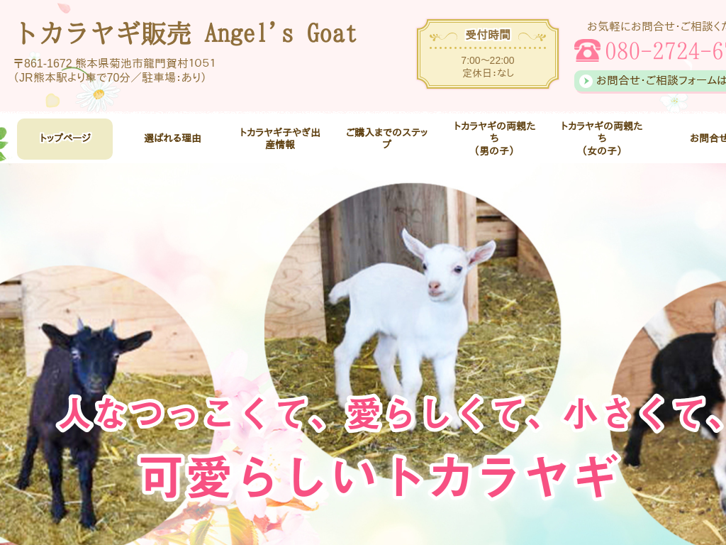 �g�J�����M�i���^���M�j�̔� Angel's Goat