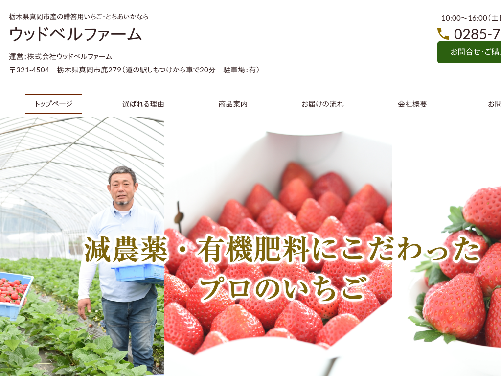 �Ȗ،��^���s�A�Ȗ؂̑����p�������E�Ƃ��������Ȃ�@�E�b�h�x���t�@�[��