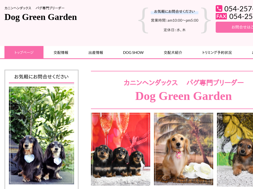 �É����É��̃J�j���w���_�b�N�X���u���[�_�[